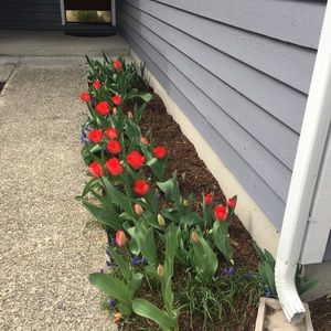 Meet your Posher, Lady